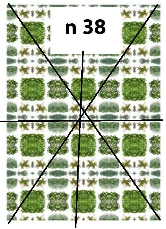 Fabric 18