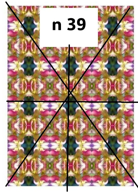 Fabric 19