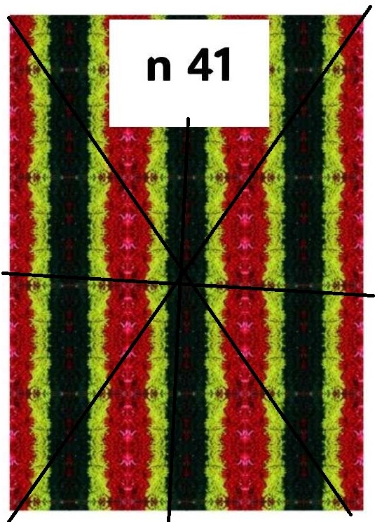 Fabric 20