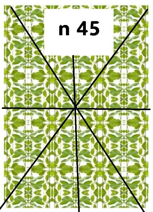 Fabric 24