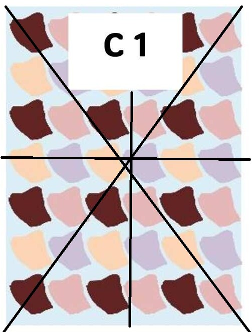 Fabric 1