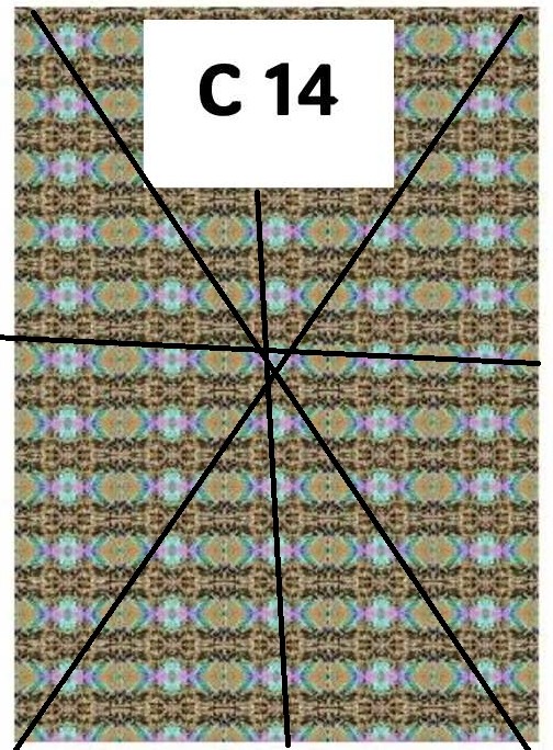 Fabric 14