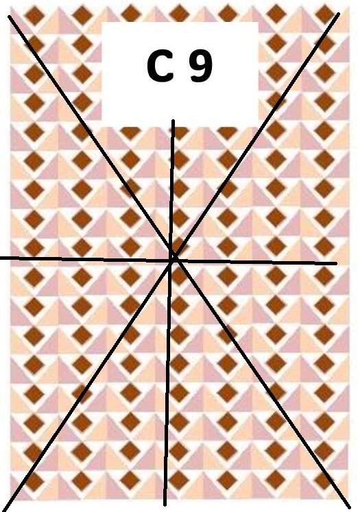 Fabric 9